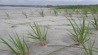 Photos of Isla del amor