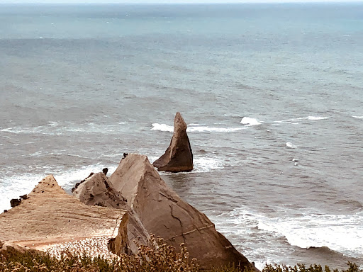 Gannet Safaris Overland Ltd - Thumbnail