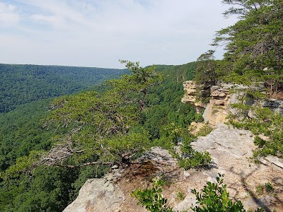 Savage Gulf State Natural Area