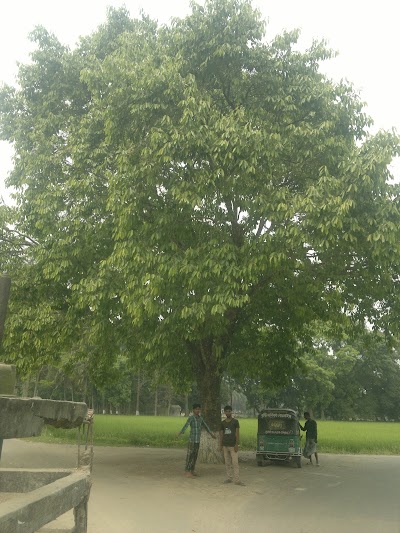 Photos of Al Amin Yetim Khana Post Office