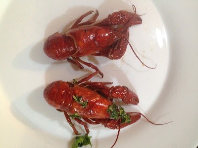 Photos of Restaurant Fortuna