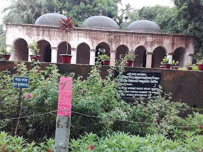 Photos of Shekh Para Mosque