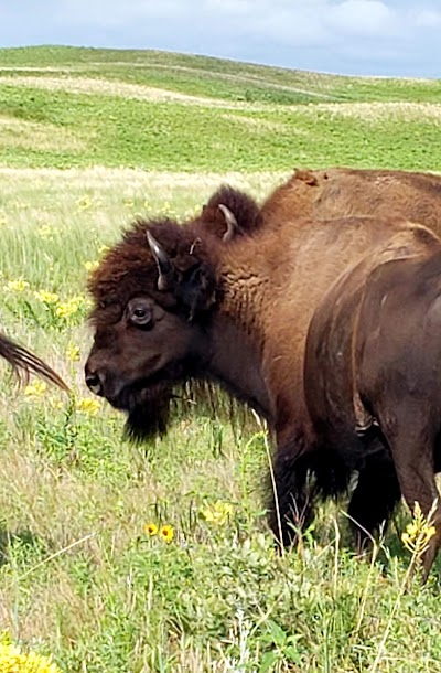 Niobrara Valley Preserve