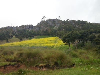 Photos of Cerro Chemal