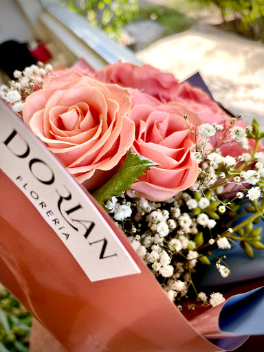 Floreria Dorian - Visual