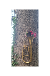 Photo n°16 de Céline Caisey Leethérapie à Nuits-Saint-Georges (Programme de bien-être)