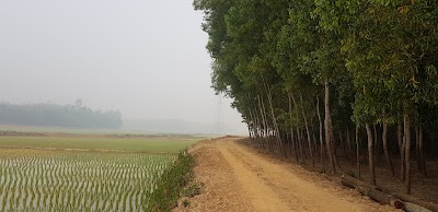 Photos of Thalchala Bazar