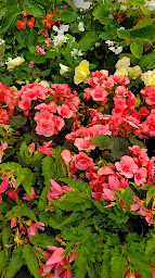 Photo n°4 de Point Vert Le Jardin à Truchtersheim (Grand magasin)