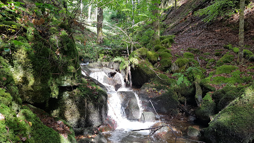 Höllbachwasserfall - Thumbnail