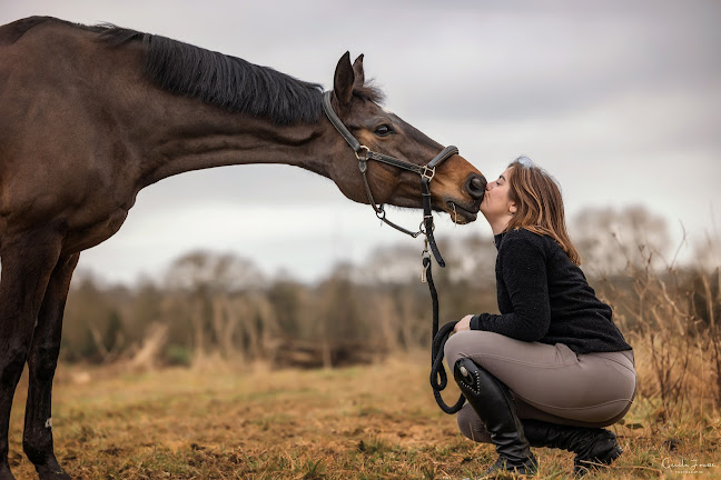 Heures d'ouverture de Cécile Joussé photographe animalier, ille et vilaine