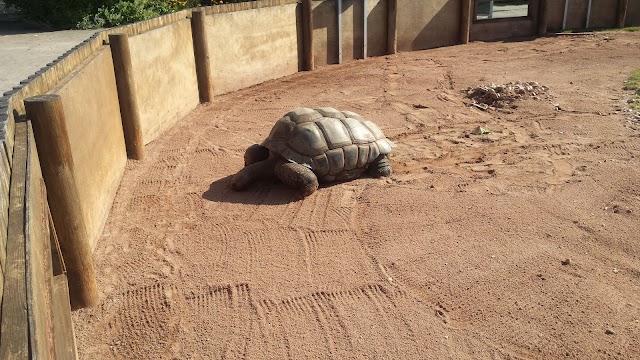 Blackpool Zoo