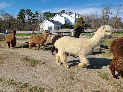 Painted Sky Alpaca Farm & Fiber Mill