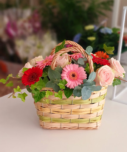 Borboni Fiori e Piante - Thumbnail