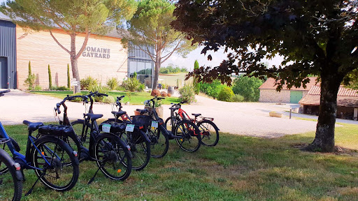 Stations Bee's - Location Velos Électriques au Domaine Gayrard - Thumbnail