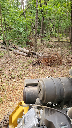 David's Stump Grinding LLC