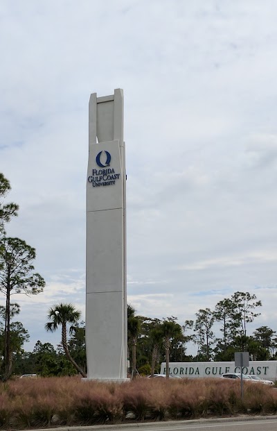university