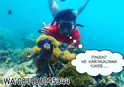 Photos of Paradiso Tour Semarang