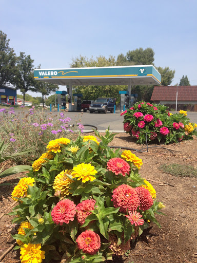 Coloma Gas & Food - Thumbnail