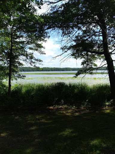 Lotus Lake County Park Gallery - United States