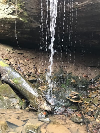 Canyon Forest Nature Preserve