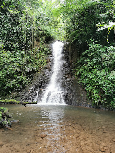 Cascada del Jabalí Logo