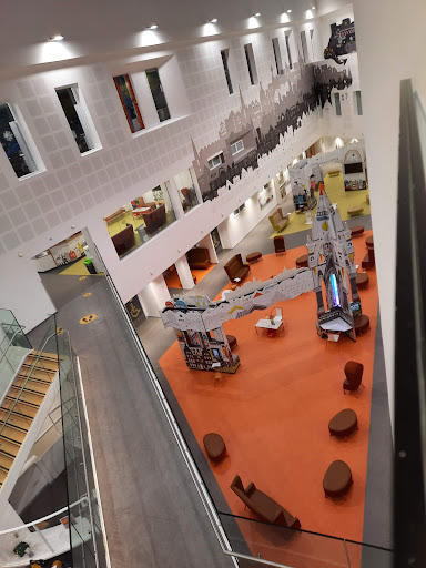 Department of Clinical Neurosciences (DCN)