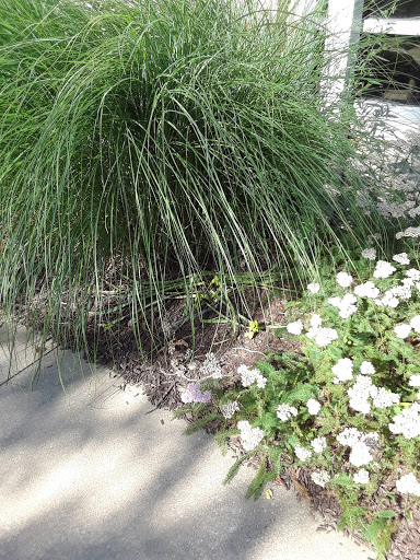 Temple Square Park - Visual