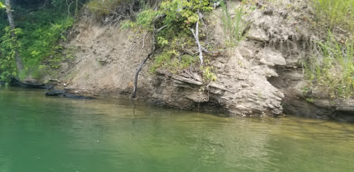 Elk River Wildlife Management Area - Thumbnail