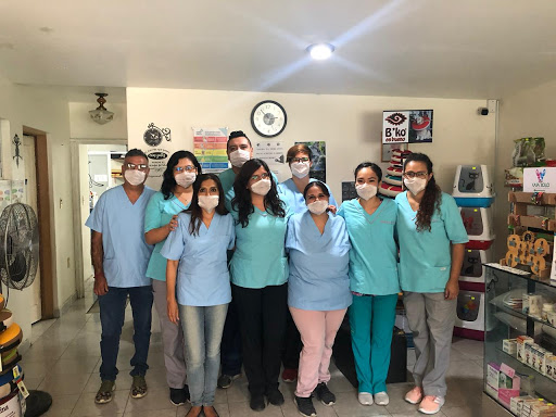 Cihuacóatl Veterinaria