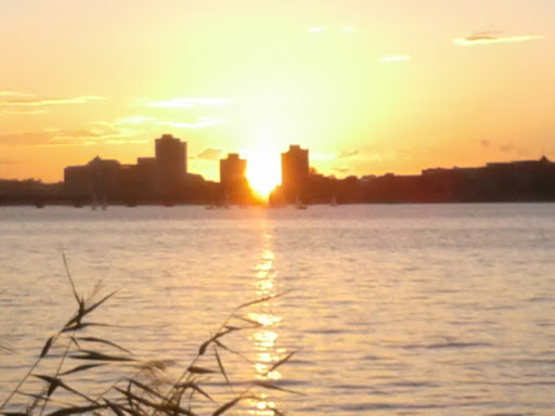 Tupper Family Memorial Public Park - Thumbnail
