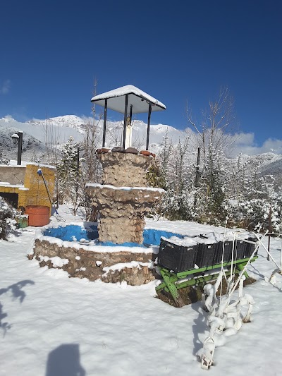 Photos of rosa de los andes