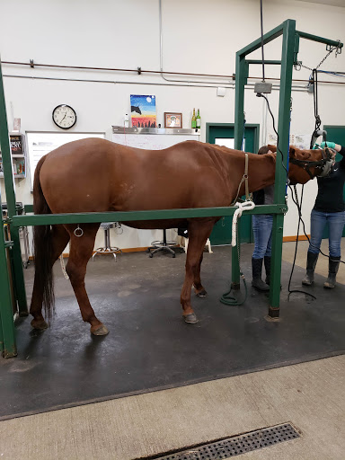 Beadle Lake Veterinary Clinic