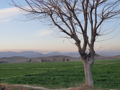 Gundai Kalai Khost Gurbaz, عونډاى کلي ژدانوال ګربز