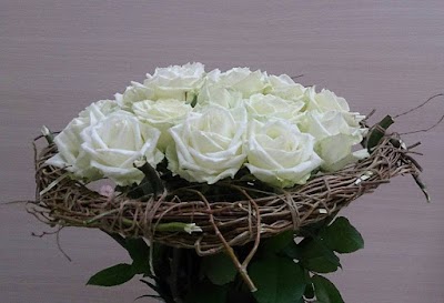 Photos of Flowers (Anne-Mona)