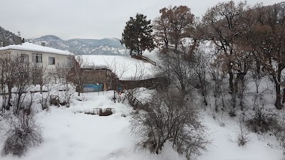 Photos of Hotel Şifa Hayatsuyu Kaplıca