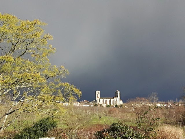 Les Jardins de Coursiana