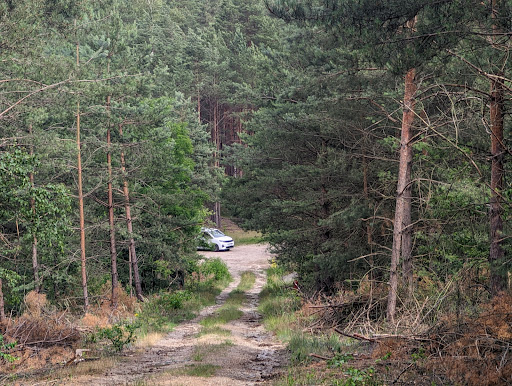 Alte Jagdhütte - Visual