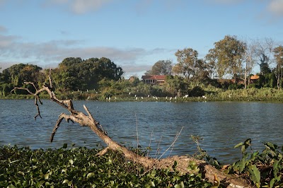 Photos of Parc de Tsarasaotra