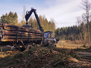 Photo n°1 de FD For-Est à Pommérieux (Négociant en bois)