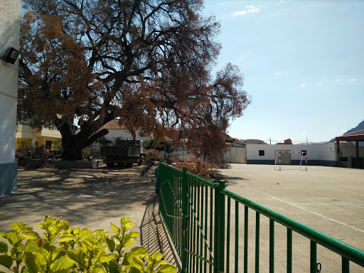 Colegio Cristo Crucificado - Thumbnail