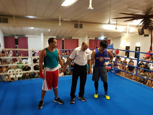 Palmerston Boxing Club - Thumbnail