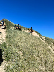 Photo n°30 de La Cavalerie de Montchaton à Orval sur Sienne (Pension pour chevaux)