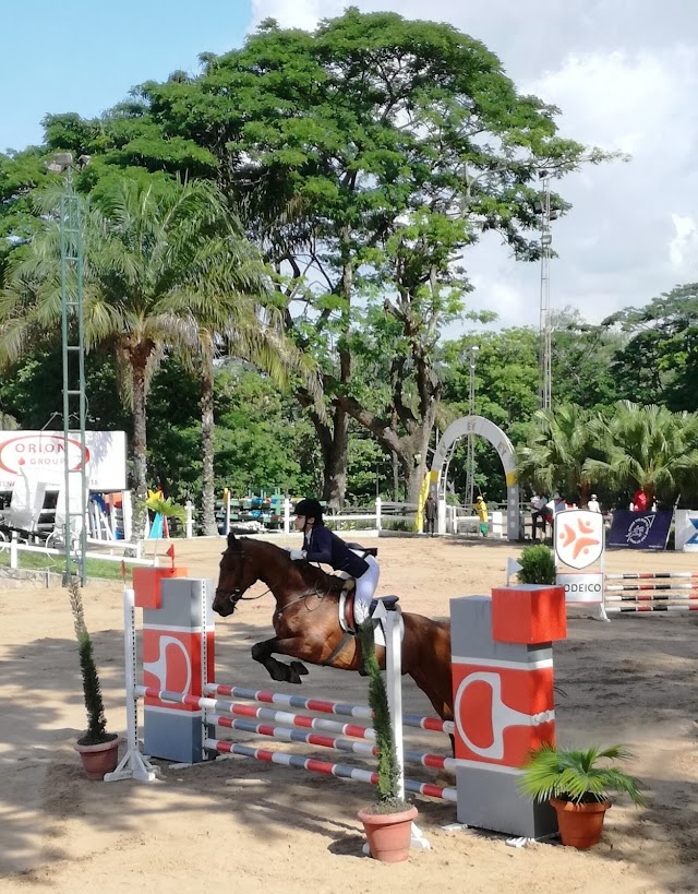 Cercle hippique