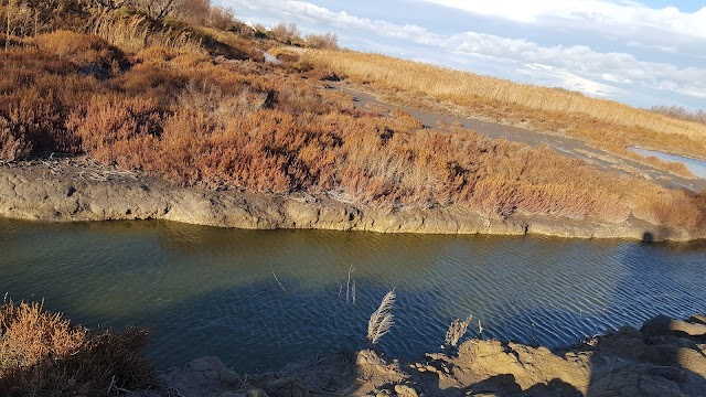 Parc Ornithologique du Pont De Gau