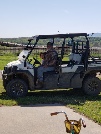 Knapp Ranch - Visual
