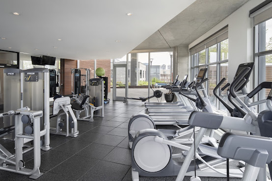 Bridge on Race by null