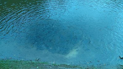 Photos of La Laguna el Tabacal