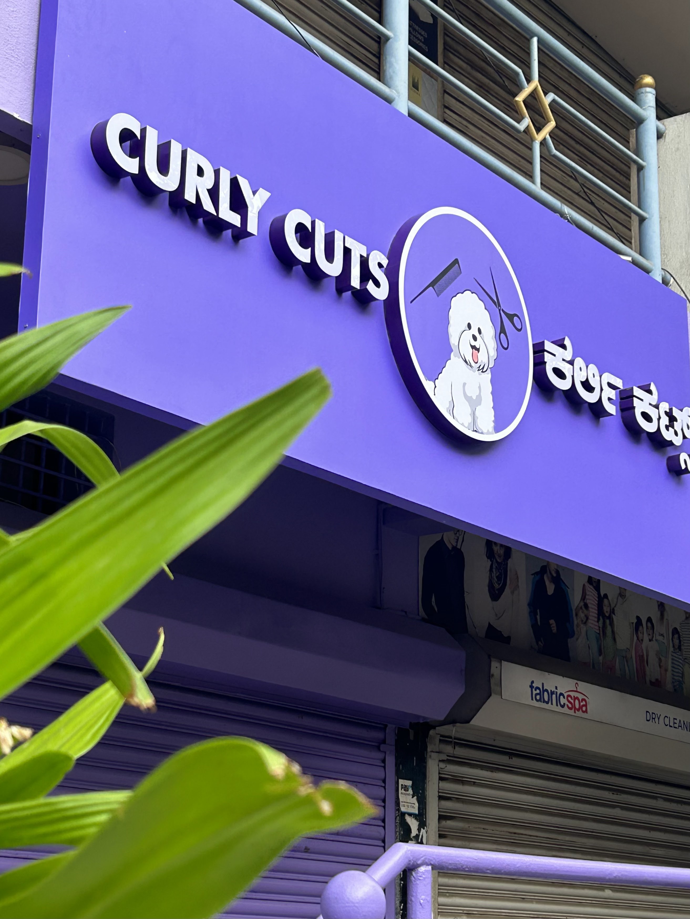 CURLY CUTS PET GROOMING
