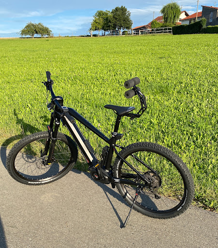ROLLERBACK® Fahrrad Rückenunterstützung - Thumbnail