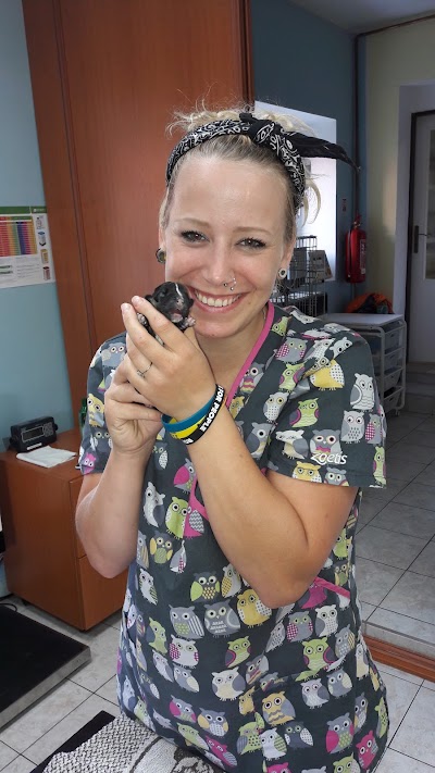 veterinary-care